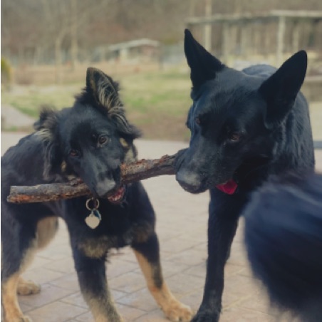 Asa shares a stick with Grandma Asa shares a stick with Grandma
